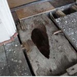 damaged floor joists